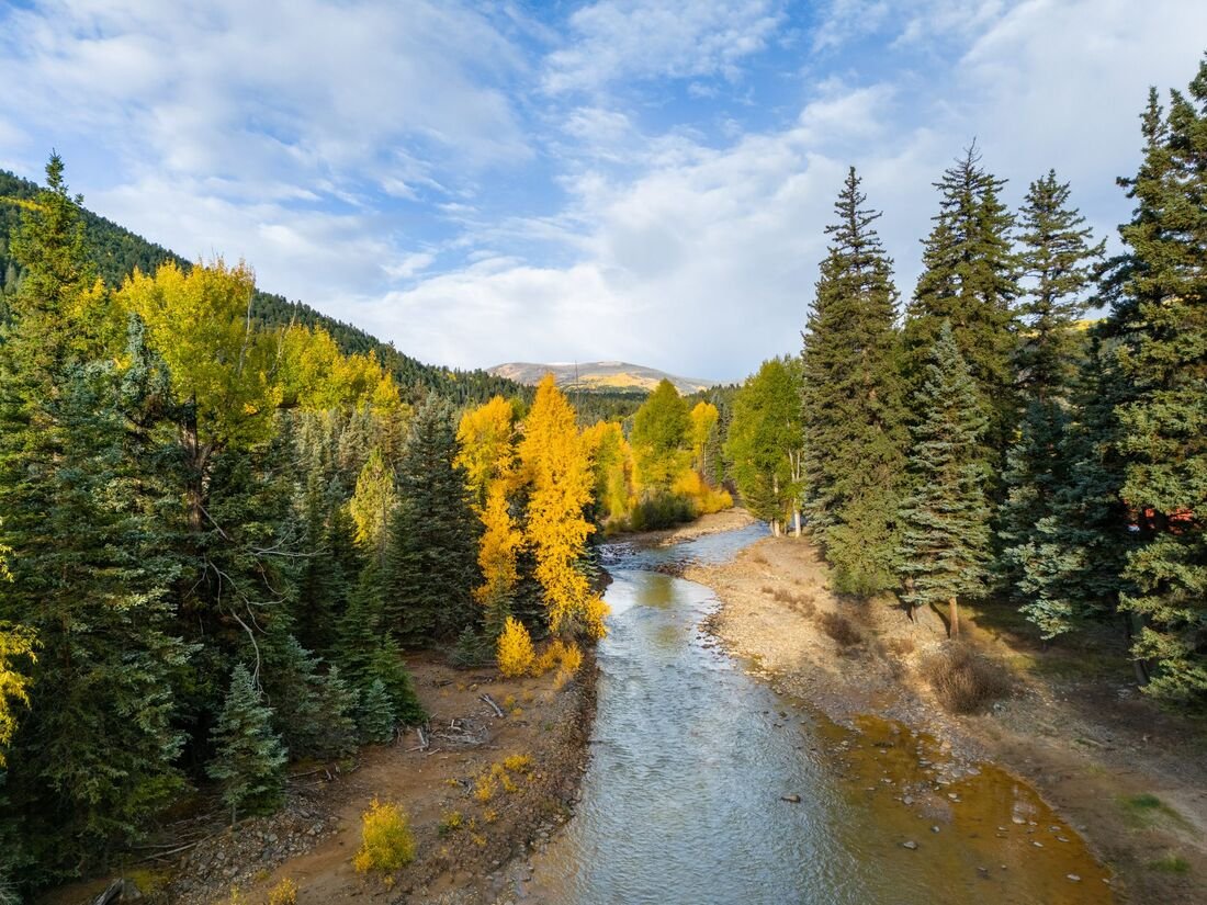 The Alamosa River running between aspens, with orange and yellow mineral staining across the gravel banks