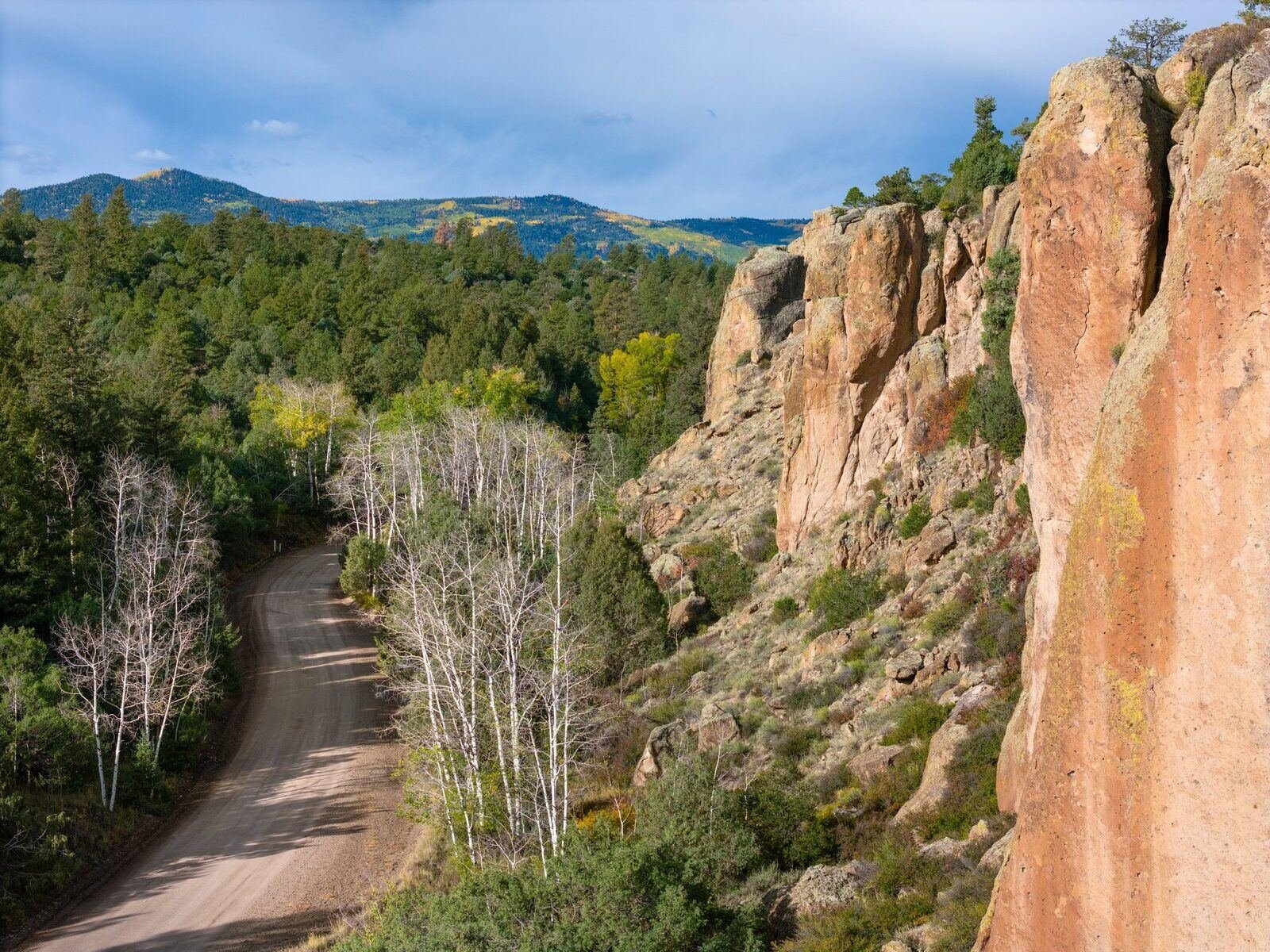 A dirt forest road curving between aspens below a rock face on the way into Jasper