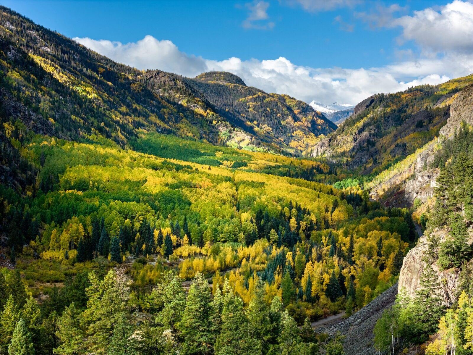 The Alamosa River valley in autumn, aspens turning gold below the San Juan Mountains