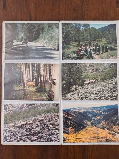 Sales book page