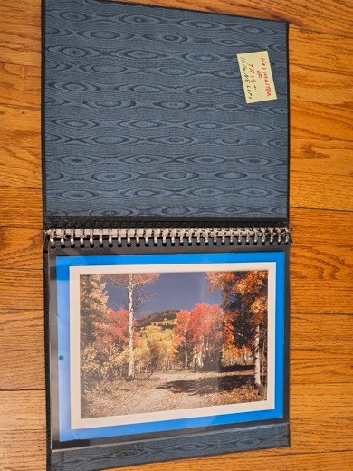 Sales book page
