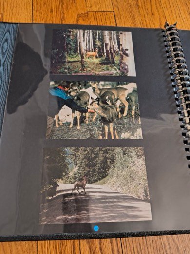 Sales book page