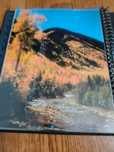 Sales book page