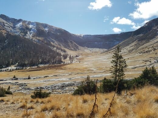 Treasure Creek